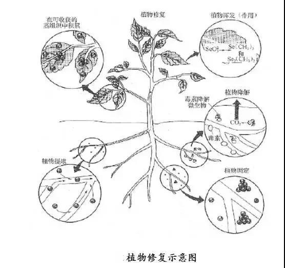 废气处理|印刷废气处理|喷漆废气处理 |橡胶废气处理|塑料废气处理